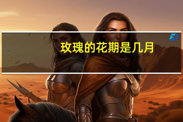 玫瑰的花期是几月