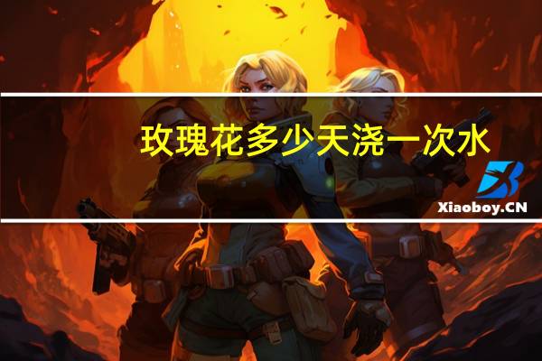 玫瑰花多少天浇一次水