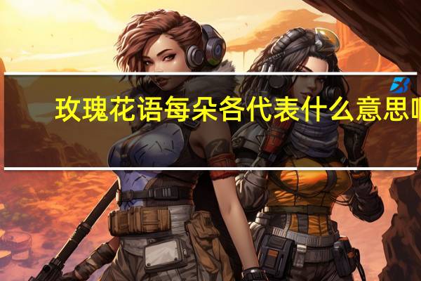 玫瑰花语每朵各代表什么意思啊