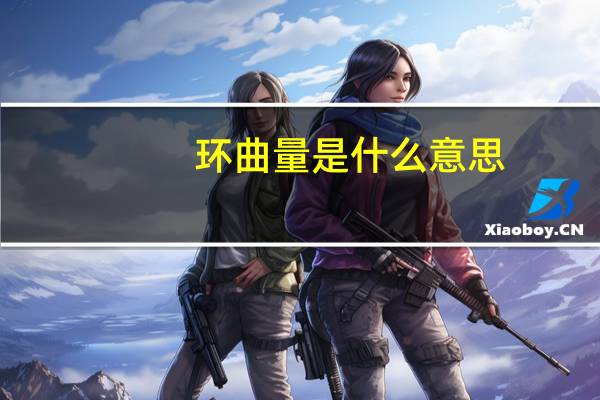 环曲量是什么意思