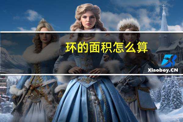 环的面积怎么算