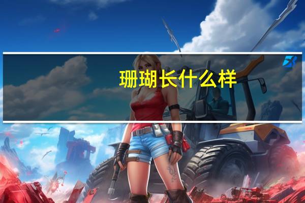 珊瑚长什么样