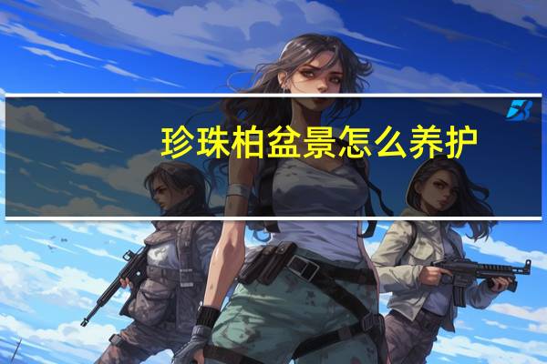 珍珠柏盆景怎么养护
