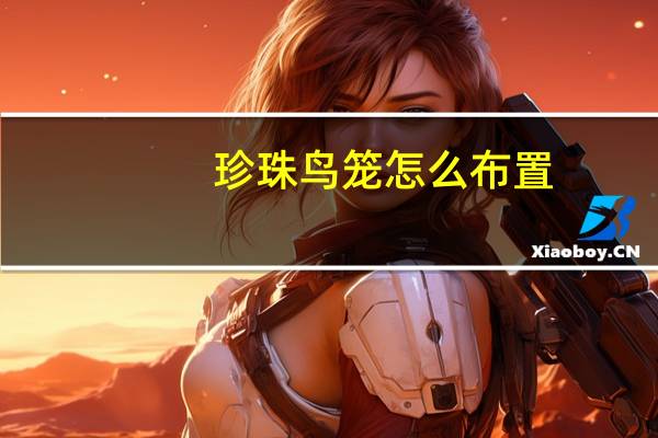 珍珠鸟笼怎么布置