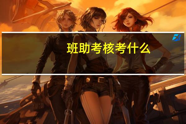 班助考核考什么