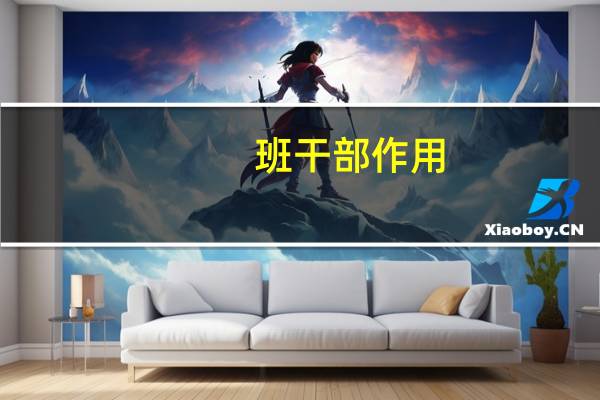 班干部作用