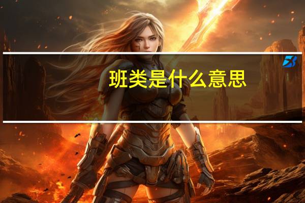 班类是什么意思