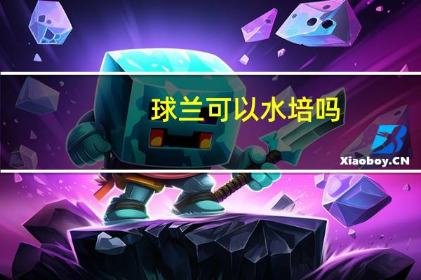 球兰可以水培吗