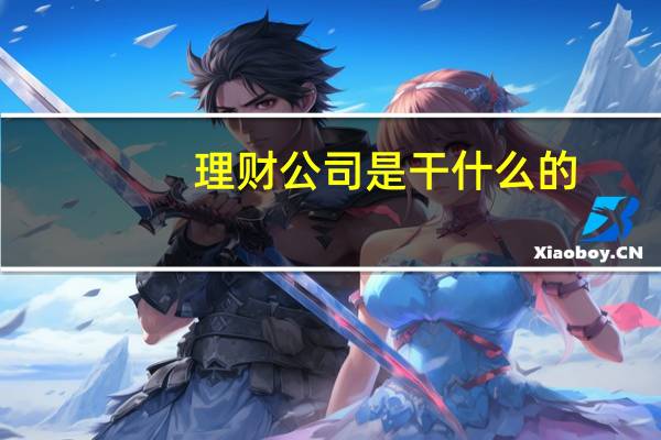 理财公司是干什么的