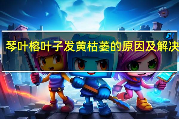 琴叶榕叶子发黄枯萎的原因及解决方法