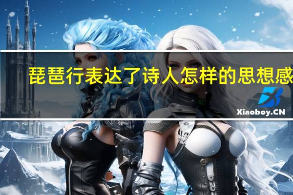 琵琶行表达了诗人怎样的思想感情