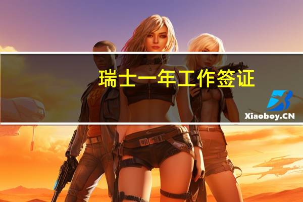 瑞士一年工作签证(瑞士找工作签证)