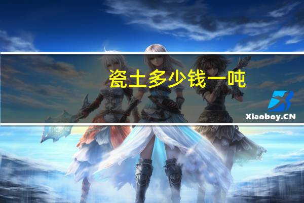 瓷土多少钱一吨