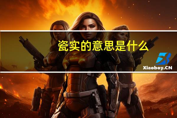 瓷实的意思是什么