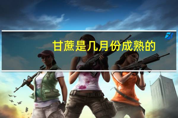 甘蔗是几月份成熟的