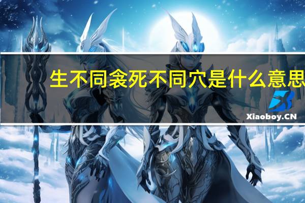 生不同衾死不同穴是什么意思