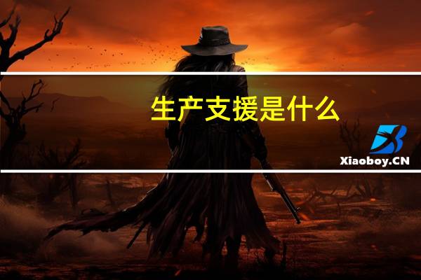 生产支援是什么