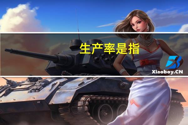 生产率是指