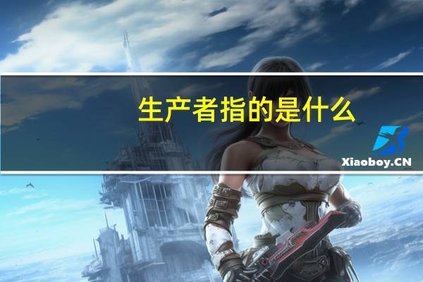 生产者指的是什么