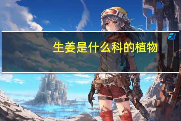 生姜是什么科的植物