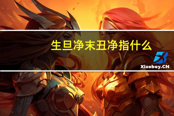 生旦净末丑净指什么