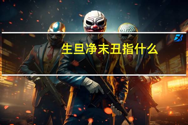 生旦净末丑指什么