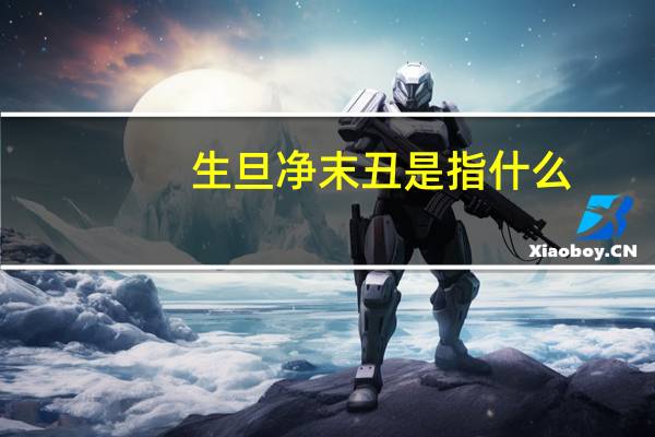 生旦净末丑是指什么