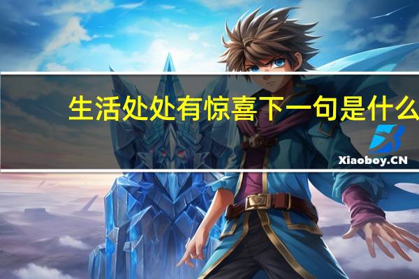 生活处处有惊喜下一句是什么
