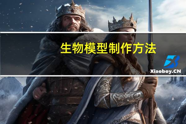 生物模型制作方法
