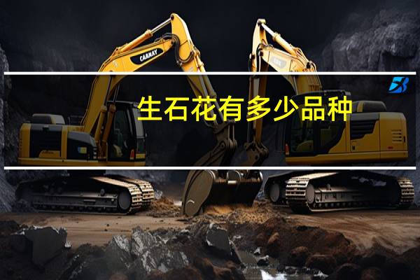 生石花有多少品种