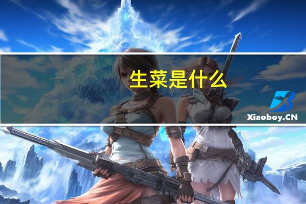 生菜是什么