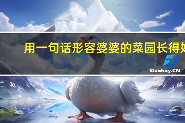 用一句话形容婆婆的菜园长得好