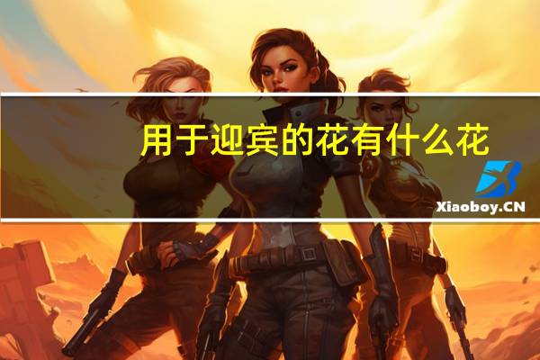 用于迎宾的花有什么花