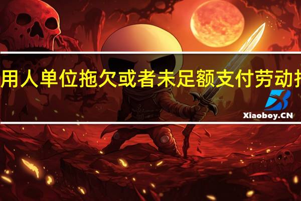 用人单位拖欠或者未足额支付劳动报酬的，劳动者可以依法向当地人民法院申请（ ）。