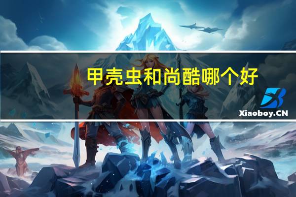甲壳虫和尚酷哪个好