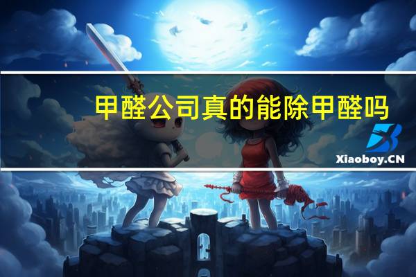 甲醛公司真的能除甲醛吗