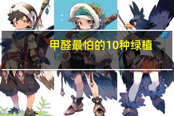 甲醛最怕的10种绿植
