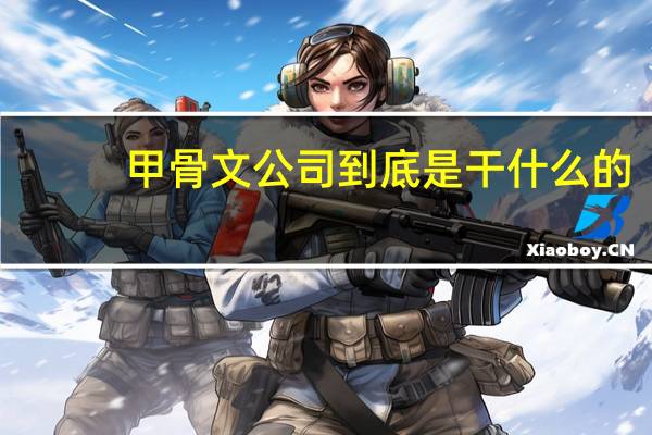 甲骨文公司到底是干什么的