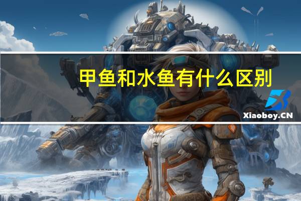 甲鱼和水鱼有什么区别