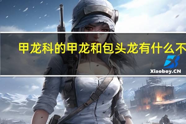 甲龙科的甲龙和包头龙有什么不同