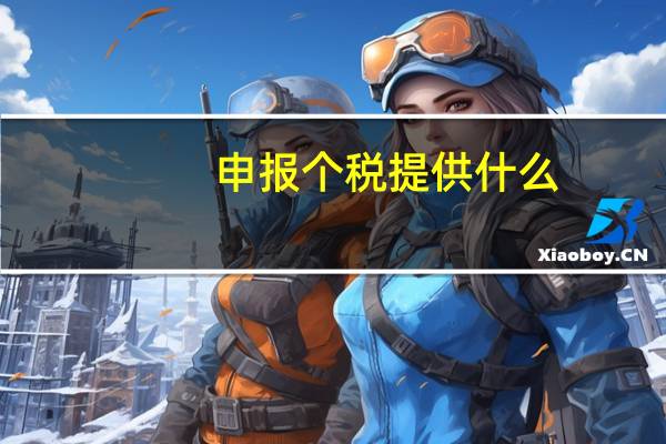 申报个税提供什么