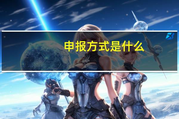 申报方式是什么