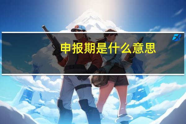 申报期是什么意思