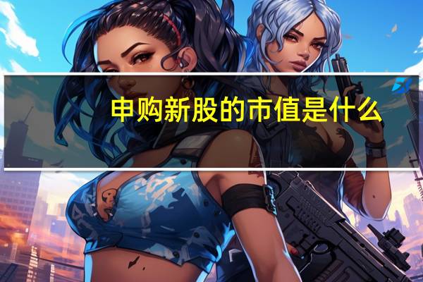 申购新股的市值是什么