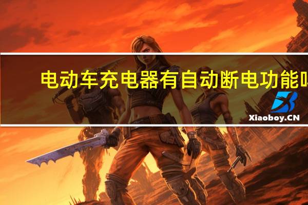 电动车充电器有自动断电功能吗