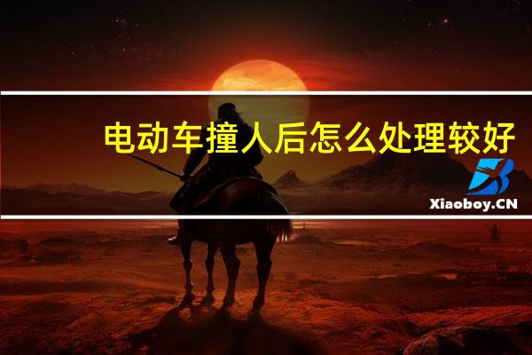 电动车撞人后怎么处理较好
