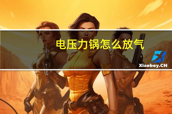 电压力锅怎么放气