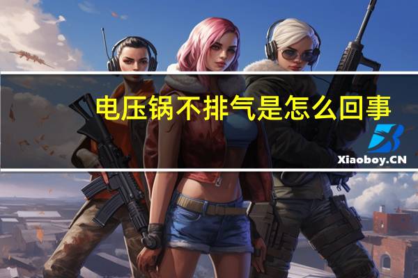 电压锅不排气是怎么回事