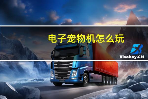 电子宠物机怎么玩