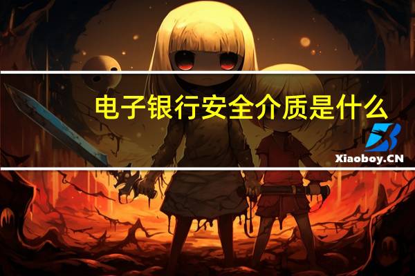 电子银行安全介质是什么